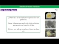 Air Quality and Pollution Indicators