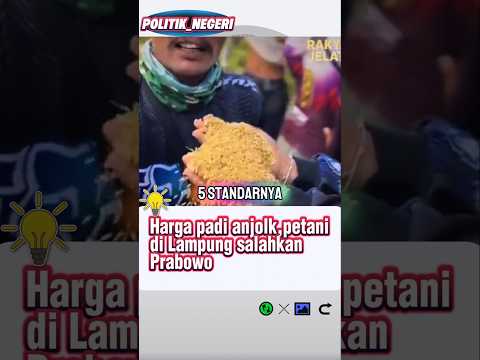 Harga padi anjolk,petanidi Lampung salahkan Prabowo. #politik #prabowo #padi #petani #fyp