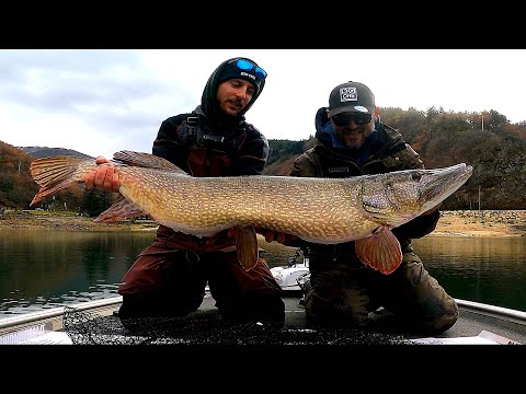 IL VERO MOSTRO DEL LAGO! Luccio da 130 cm e più di 20kg! Pesca a Spinning da Barca con esche GIGANTI