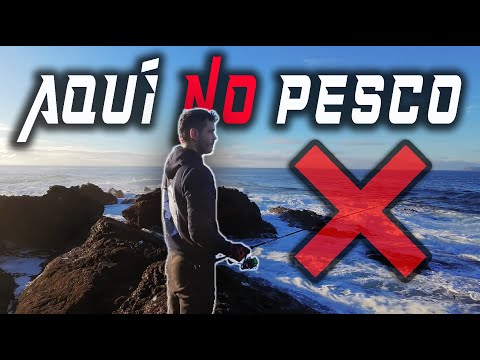 8 LUGARES y CONDICIONES que NO ME GUSTAN para PESCAR LUBINAS a SPINNING 🎣