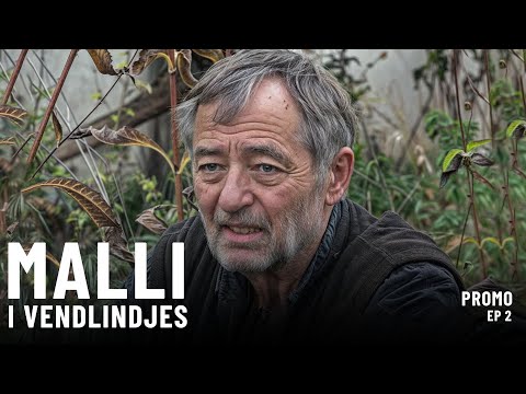 PROMO - MALLI  I VENDLINDJES  EP2 - Seriali më i ri shqip