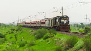 Diesel & Electric Trains in Monsoon Kissed Lush Green Western Rajasthan