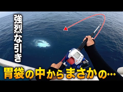 水深140mで引きが強い4kgの大物HIT…捌いたら胃袋の中に丸ごと◯◯が入っていた!