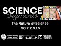 Fossil Sites and Research Insights