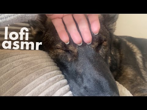 Gentle Lofi / Homemade ASMR (Natural nails ASMR FOR TINGLES)