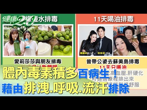 體內毒素積多百病生！ 藉由排洩、呼吸、流汗排除 健康2.0