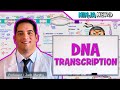 Gene Regulation and RNA Processing