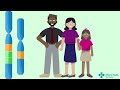 Genetic Testing and Chromosomal Analysis