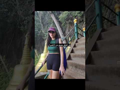 كيف يبدو المنضر ؟ #thailand #اكسبلور #tiktok #كاميليا #funny #العلم #ترند