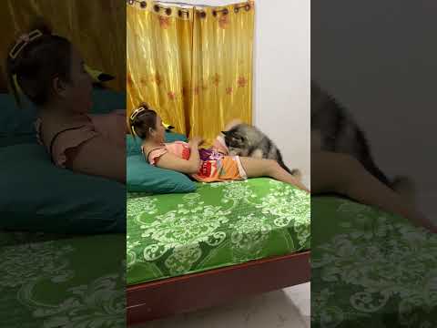 Aww!! TONY very fun TONY need food very very much #funny #careful #shorts