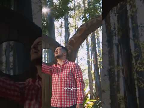 Rema…. Confia em Deus!