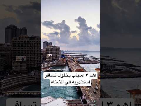 اهم ٣ اسباب يخلوك تسافر اسكندريه في الشتاء