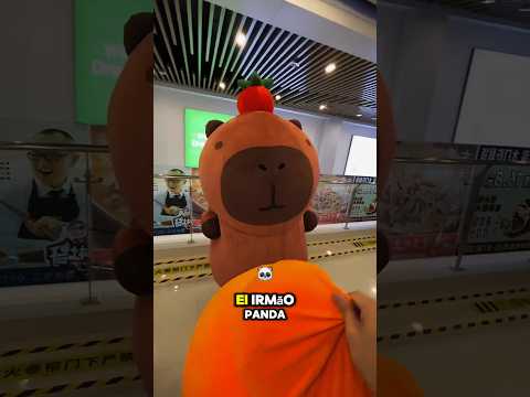 O boné da tartaruga caiu! 😂🐢 | Missão resgate ativada! #shorts