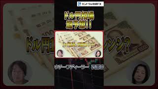 【ドル円予想】高市一強体制へ！当面のドル円想定レンジは？ #相場見通し #投資