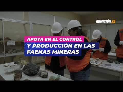 TNS en Geominería - Admisión 2025