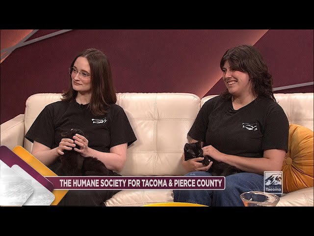 The Humane Society for Tacoma & Pierce County is one of Washington’s largest nonprofit animal welfare organizations, providing essential care to more than 9,000 animals in our shelter each year. As a donor-funded organization, we rely on community support to find loving homes for nearly 7,000 pets, reunite more than 1,100 lost animals with their families and assist thousands more through innovative community programs.

Our Friendly Finder program empowers community members to help reunite lost pets with their families without entering the shelter, while our foster and volunteer opportunities provide additional ways to make a difference. We offer vital pet support services, including Spay/Neuter and Wellness Vouchers, a monthly Vaccine and Wellness Clinic and a Pet Food & Supply Pantry. Our S.P.O.T. mobile veterinary unit will expand access to essential veterinary care and launch a targeted trap-neuter/spay-return (TNR) program across Pierce County.

thehumanesociety.org