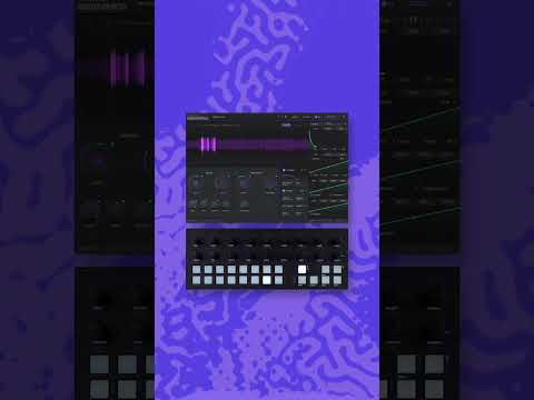 Synth Sequence - Grainferno Synth Sequence - Grainferno
