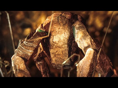 Astronaut Meets Cute Alien - PROJECT HAIL MARY Movie Clip (2026) Ryan Gosling