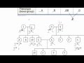 Genetic Pedigree Analysis Concepts