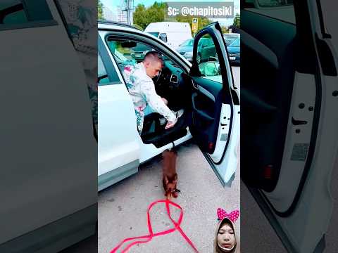 KASIHAN DOGY‼️#shortvideo #shorts #dog