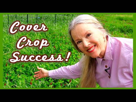 Cutting the Cover Crop + more medicinal plants!