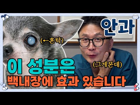 과대광고 OUT! 안과 전문 수의사가 콕 집은 백내장 영양제 Out of hype! Cataract supplements by an ophthalmologist [또살약💊 시즌2]