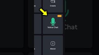 How To Get VOICE CHAT on ROBLOX MOBILE...
