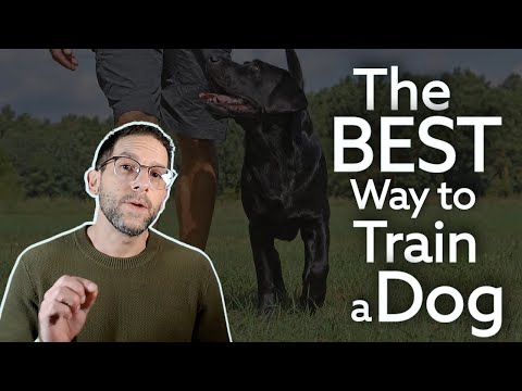 The Search for the Perfect Dog training methods Ends Here