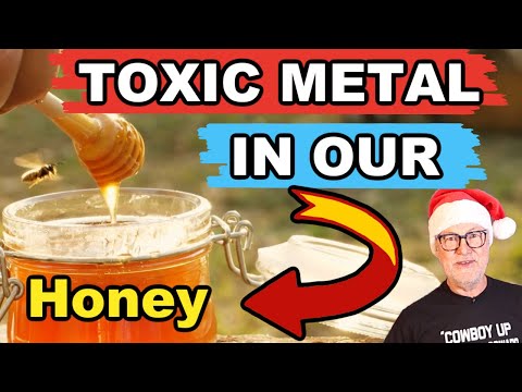 Beekeeping Reveals Toxic Metals In Our Honey!!