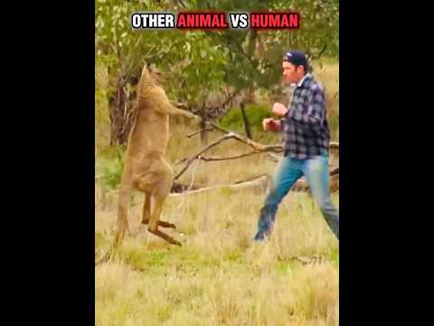 The last two are just crazy 💀 #edit #trollface #troll #fyp #meme #usa