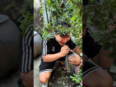 Đang tập tạ nghe âm thanh lạ 😳🤣 #youtubeshorts #funny #haihuoc #giảitrí