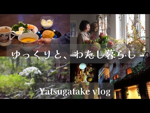 【🍃215話】60代・お安いのでカボチャばかりを食べていたこの秋🎃/猫たちとお礼とメンバーシップのお知らせ/10月のハーブスタンド/ハロウィン風景/静かな癒しの世界と毎日穴掘り/八ヶ岳南麓一人と猫たち