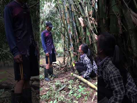 นั่งรอพ่อใหญ่🤣🤣 #funny #comedy #ตลก #funnyshorts #คลิปตลก #ขำขัน #shorts
