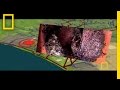 Understanding Los Angeles' Sewage System