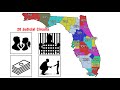 Understanding the Florida Court System