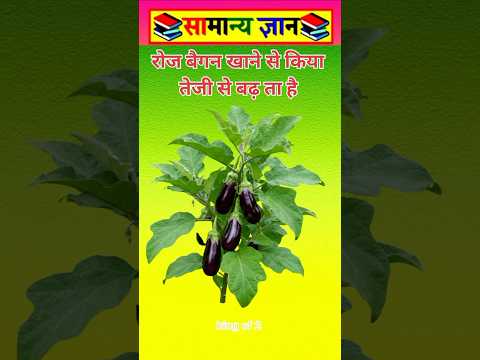 रोज बैगन खाने से #viral #facts #videos