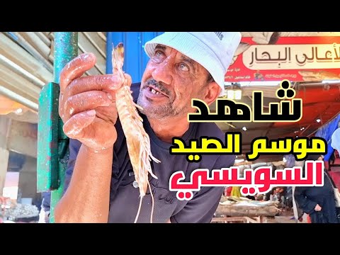 جولة باكبر واقوي 🐟 حلقة سمك بشارع الغلابة بعد انطلاق موسم الصيد بالسويس