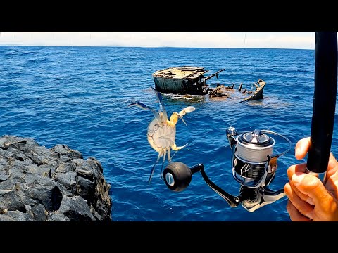 Fishing Old Ship Wreck with the BEST BAIT | These Fish are Crazy Strong