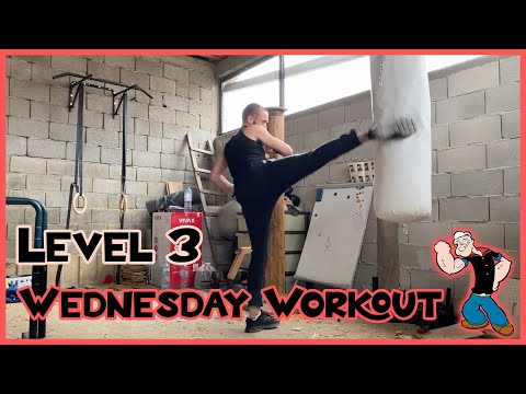 My Wednesday Training Routine - Workout Motivation; Fitness Challenge; Level 3 - PUMP