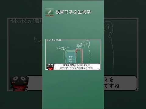 体液の循環【083生物基礎】新課程対応 #リンパ液 #板書で学ぶ生物学 #組織液 #血液 #生物基礎 #体液の循環