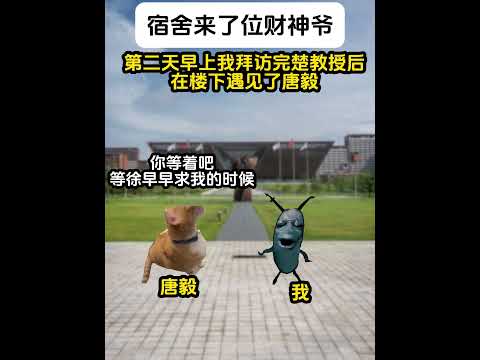 猫の動画サムネイル - 宿舍来了位财神爷第六集#有趣 #猫meme #猫meme剧场 #猫meme小剧场 #内容过于真实  #故事 #貓 #猫猫meme小剧场 #喵不可言