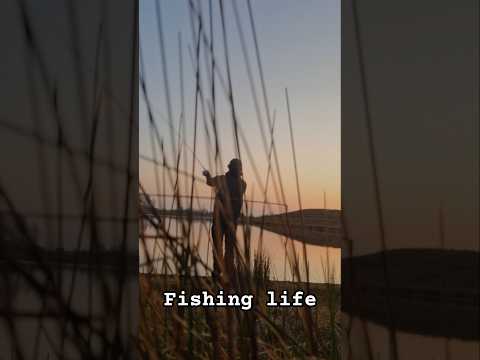 This is life. #pikefishing #sunset #lystfiskeriidanmark