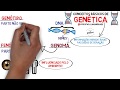 Genética: Conceitos e Definições