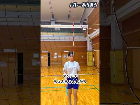 【バレーあるある】アンテナはちょんちょんしてつける