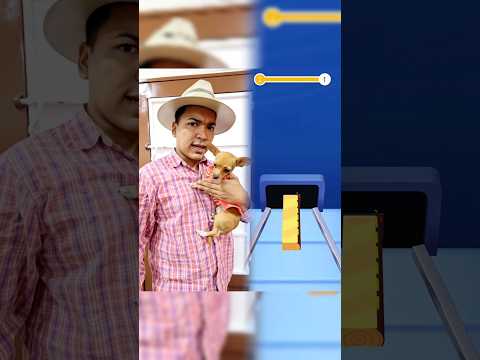 Si también te gustan los videos que he publicado, por favor sígueme. Muchísimas gracias.