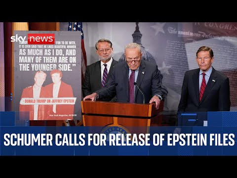 Senior Democrat Chuck Schumer holds news conference regarding Jeffrey Epstein investigation