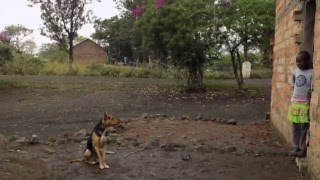 My Tanzanian Experience 2016