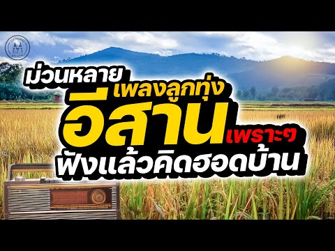 ม่วนหลาย เพลงลูกทุ่งอีสานเพราะๆ ฟังแล้วคิดฮอดบ้าน