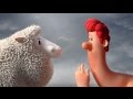 Characteristics and Development of Wool