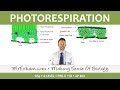 C4 Plants and Photorespiration Concepts